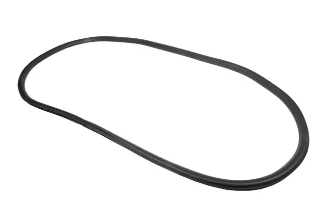 Driver Side Rear Door Weatherstrip - GM (95190188)