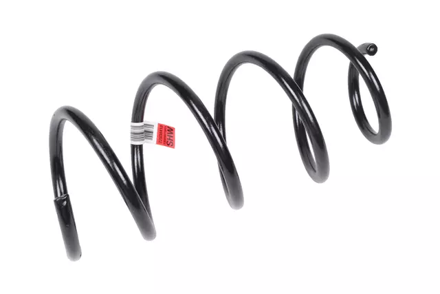 Front Coil Spring - GM (22938418)