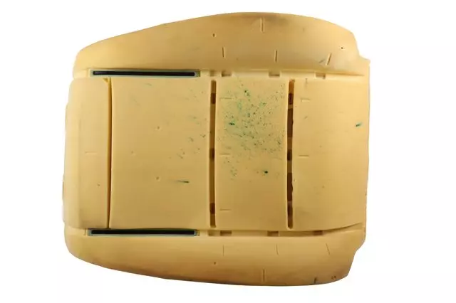 Driver Seat Back Pad - GM (22855719)