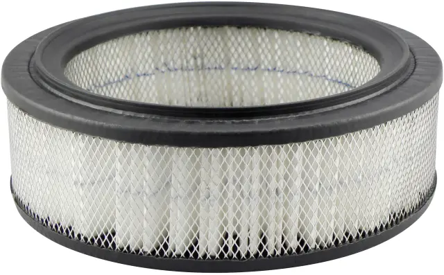 PA2036 - : Air Element for Baldwin Image