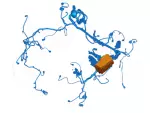 GJ5Z14290AD - : Wire Assembly for Ford Image