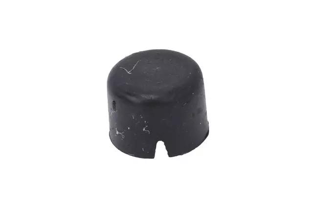 25766891 - Body: Hinge Cap for Cadillac: STS | Chevrolet: Caprice, SS | Pontiac: G8 Image