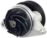 21010EZ40B - : Water Pump for Nissan: TITAN XD Image
