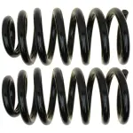 81413 - : Coil Spring Set for Moog Image