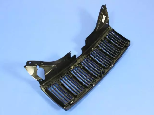 Radiator Grille - Mopar (1DF491BLAB)