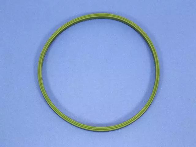 Fuel Pump Assembly Seal - Mopar (04809308AA)