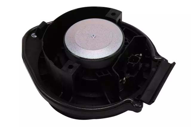 23509336 - Body: Rear Dr Speaker for Cadillac: CT5 Image
