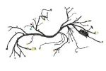 42884897 - : F Harness for GM Image