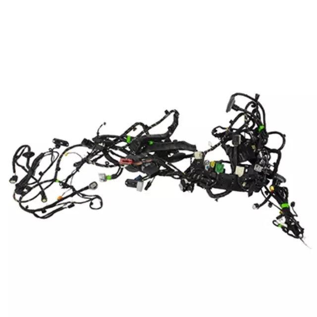 Wiring Assembly - Ford (DG9Z-14A005-DA)