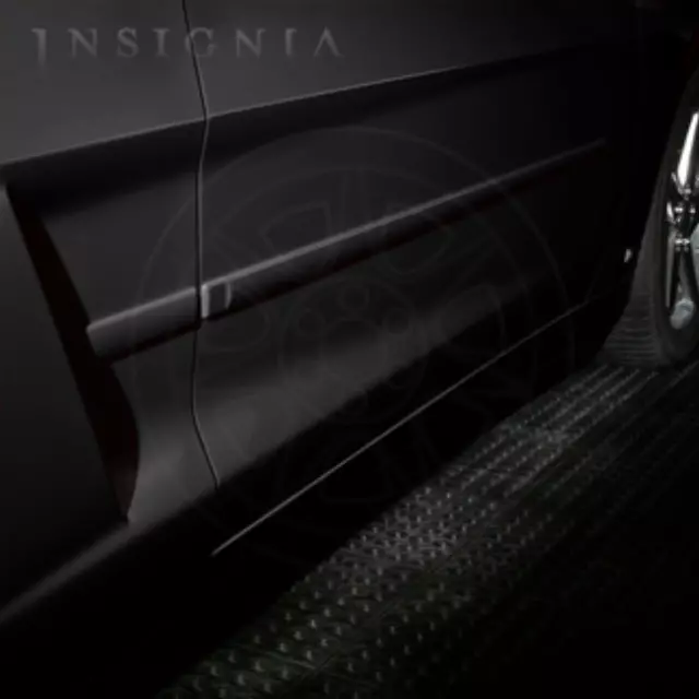 17802207 - Exterior: Bodyside Side Molding - Black for GM Image