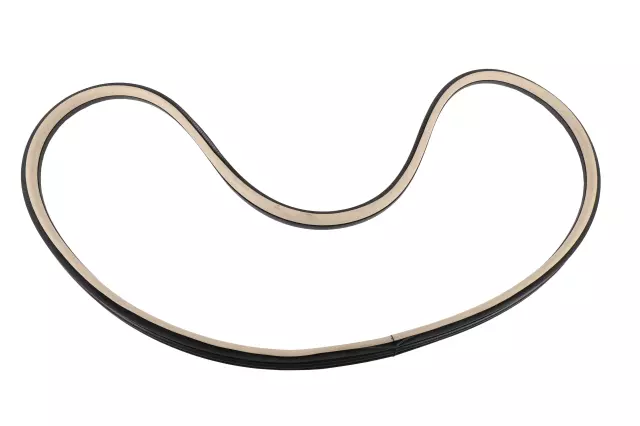 Door Window Belt Weatherstrip - GM (20968714)