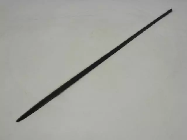 Body Side Molding, Right - Mopar (ZH58TZZAA)