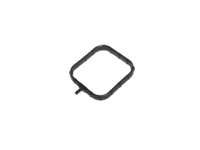 Water Pump Gasket - Mopar (68571989AB)