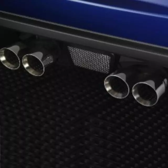 Grille Insert - GM (12499871)