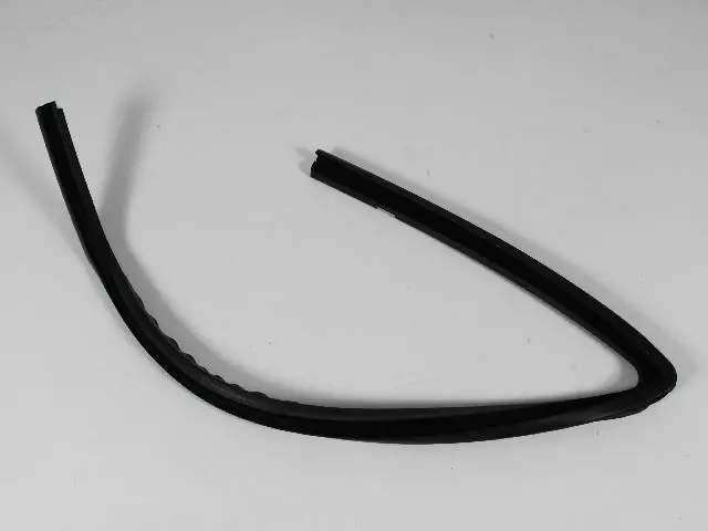 55394052AL - : Front Door Glass Seal, Right for Mopar Image