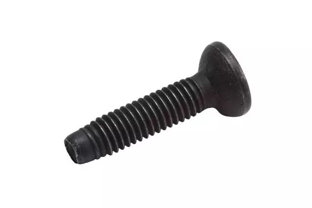 11589208 - Body: Protector Screw for GM Image