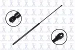 84744 - : Hood Lift Support for Focus Auto Parts Image