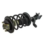 836355 - : 03-06 Honda Element Suspension Strut and Coil Spring Assembly  - Front Right for GSP Image