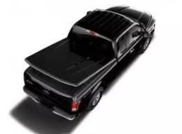 VML3Z84501A42AD - : Undercover Guard Metallic Hard One-Piece for Ford: F-150 Image