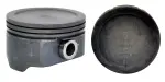 P3079875 - : Engine Piston Set for Enginetech Image