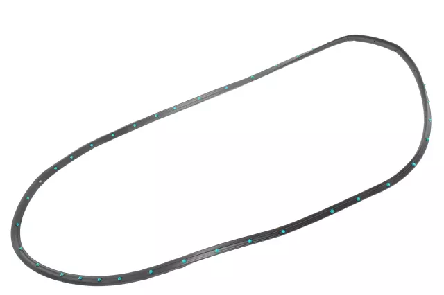 42766265 - Body: Door Weather-strip for Chevrolet: Trailblazer Image