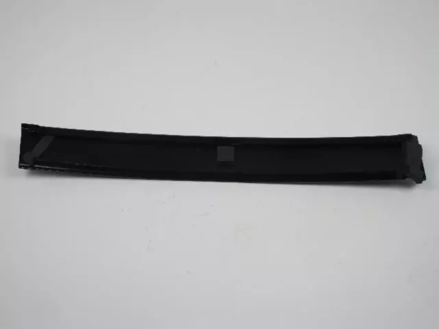 Door Window Opening Molding, Right - Mopar (4717770AE)