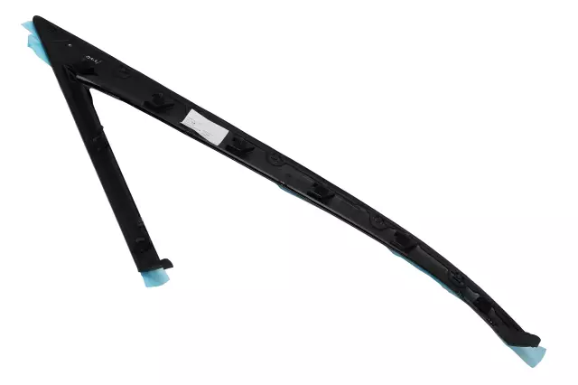 Molding - GM (84376599)