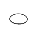 4659430AB - 3.5L Gas; Engine: Water Pump To Front Cover Seal for Mopar Image