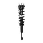 710798 - : PRT 710798 Suspension Strut and Coil Spring Assembly for PRT PERFORMANCE RIDE Image