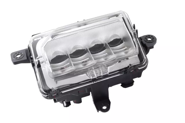 Fog Lamp Assembly - GM (87816045)