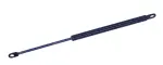 613163 - : Hood Lift Support for Tuff Support Image