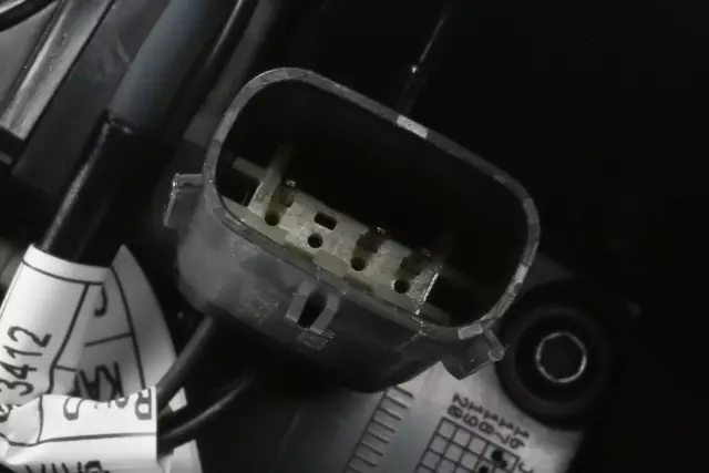 Tail Lamp Assembly - GM (39099114)