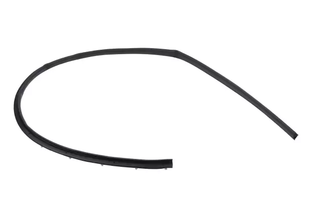 Lower Weather-Strip - GM (42440817)