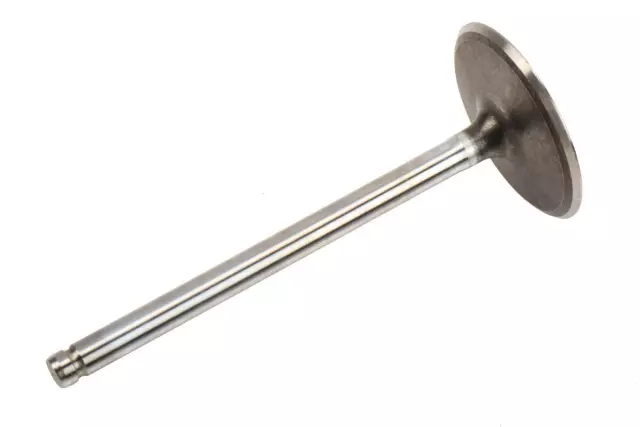 Intake Valve - GM (12563063)