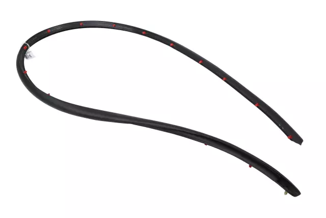 Driver Side Door Lower Auxiliary Weatherstrip - GM (23166516)