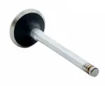 V2285 - : Engine Exhaust Valve for Enginetech Image