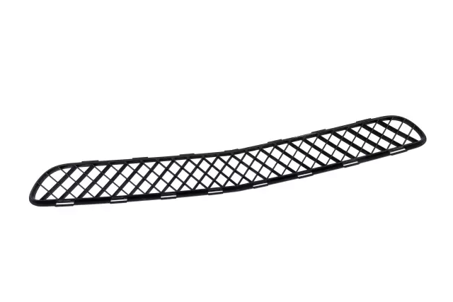 Front Lower Grille - GM (10371589)