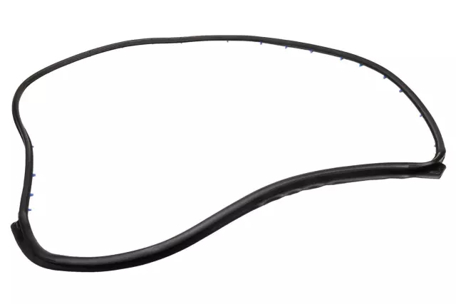 96649137 - : Passenger Side Door Weatherstrip for Chevrolet: Aveo Image