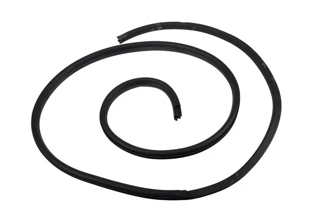 19316828 - : Passenger Side Front Door Weatherstrip for Chevrolet: City Express Image