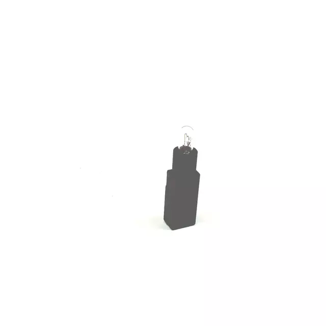Bulb & Retainer - Volkswagen (3B0-919-243-B)