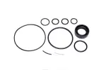 8401413 - : Sunsong Power Steering Pump Seal Kit for Sunsong Image