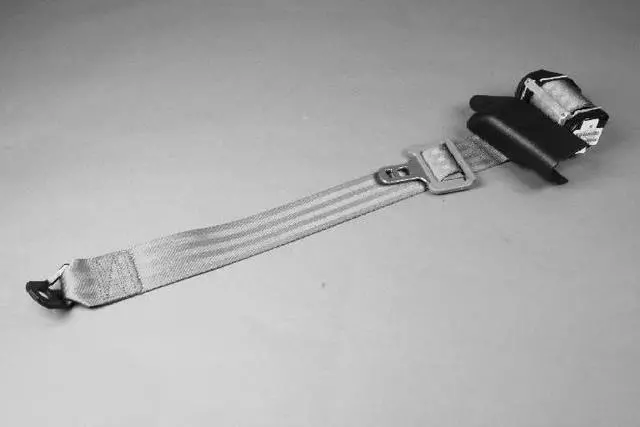 PV581L2AE - Interior Trim: Rear Outer Seat Belt, Right for Mopar Image