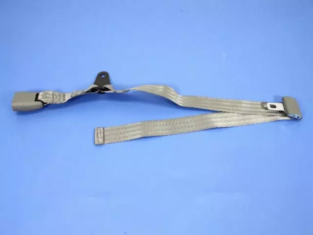 RK991D5AB - Electrical: Buckle End for Chrysler: Town &amp; Country | Dodge: Caravan, Grand Caravan Image