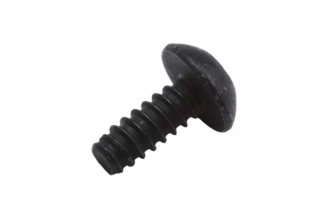 13496721 - : 2017-2020 GM Upper Molding Screw for Buick: Regal TourX | Chevrolet: Cruze Image