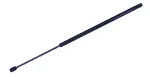 612136 - : Liftgate Lift Support for Tuff Support Image