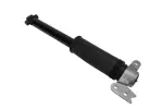 84912412 - Suspension: Rear Shock Absorber for Chevrolet: Equinox | GMC: Terrain Image