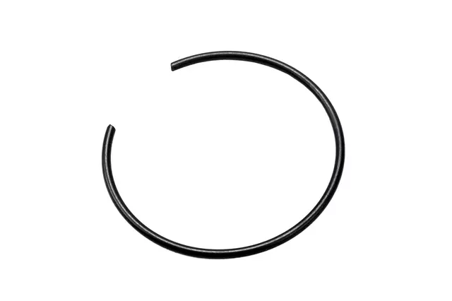 98063132 - : F Ring for GM Image