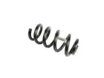 68531298AA - Rear Suspension: Rear Coil Spring, Left for Dodge: Durango Image