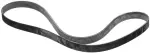 11720ED80C - : Serpentine Belt for Nissan Image