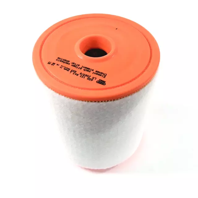 4G0133843L - : Air Filter for Audi: RS7 Image